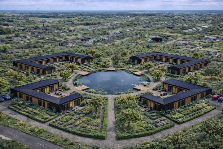 krachtveld oosterwold